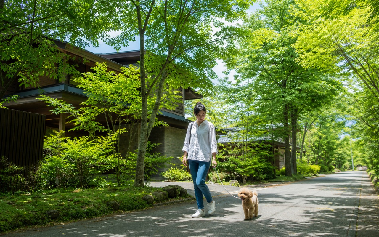 長野県の木立を犬と歩く旅行イメージ